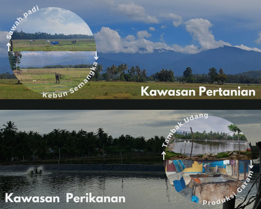 Gampong Siblah Coh berupa Kawasan Pertanian (Sawah) & Kawasan Perikanan (Tambak & garam).